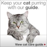 Keep your cat purring with our guide. View cat care guide.