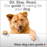 Sit.Stay.Read. Our guide to caring for your dog. View dog care guide.