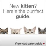 New kitten? Here's the purrfect guide.. View cat care guide.