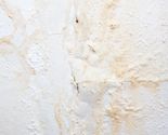 Signs of mould