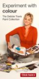 Debbie Travis Paint Collection