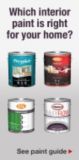 See our Paint buying guide