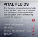 Vital Fluids: video description