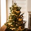 Tips to get your holiday ready