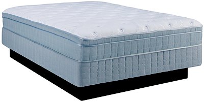 Foxvale Innerspring Plush Eurotop Mattress & Boxspring