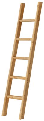 Mid Tone Bunk Ladder
