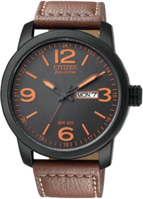 Citizen Eco-Drive Brown Strap (Men's)