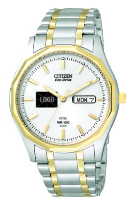 Citizen Eco-Drive White Two-Tone (Men's) 