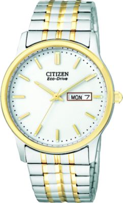 Citizen Eco-Drive Flexible Band (Men's)