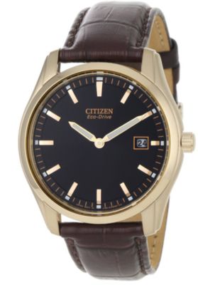 Citizen Eco-Drive Brown Leather Strap (Men's)