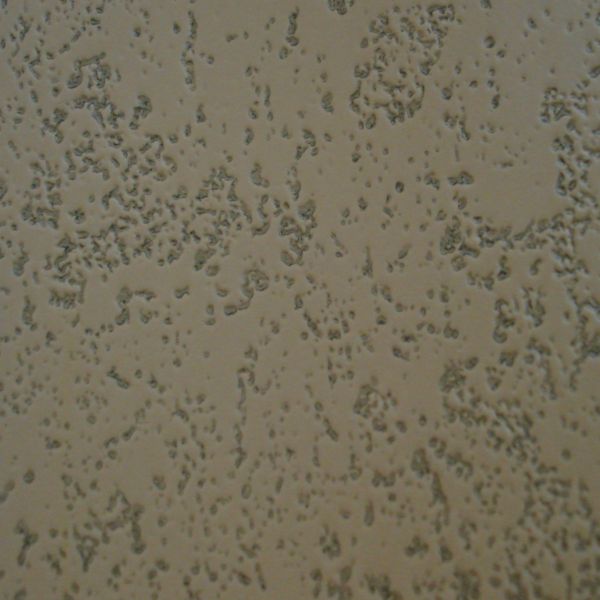 vertical ciara adobe swatch