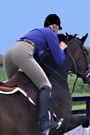 1824 TuffRider Ladies Cotton FigureFit Plus Size Riding Breeches 