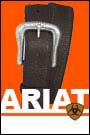 Ariat Men's Western Belt with Detail