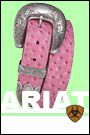 Ariat Women's Fatbaby Three Piece Set Belt