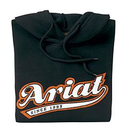 Ariat Men's Logo Applique Hoodie