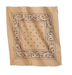 Ariat Buzz Off Bandana