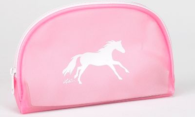 AWST Cosmetic Case