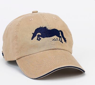 AWST Jumper Adult Ball Cap