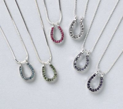 AWST Horseshoe Rhinestone Necklace
