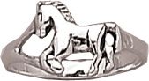 AWST Mini Horse Ring