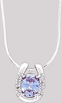 AWST Sterling Silver Gem Stone Horseshoe Necklace