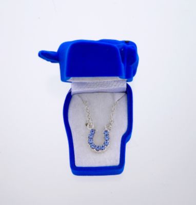 AWST Rhinestone Horseshoe Necklace with Gift Box