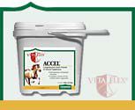 Vita Flex Accel by Farnam