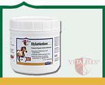 Vita Flex Hylamotion Powder