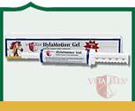 Vita Flex by Farnam Hylamotion Gel