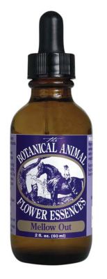 Equilite Mellow Out Flower Essence