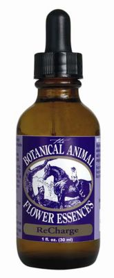 Equilite Recharge Flower Essence