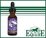 Equilite Angel of Mercy Flower Essence
