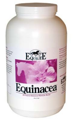 Equilite Equinacea