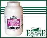 Equilite Equinacea