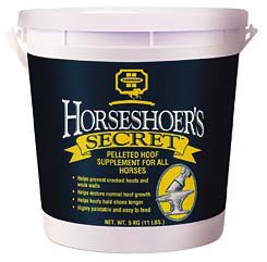 Farnam Horseshoer's Secret (Original)