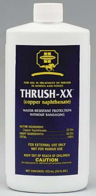 Farnam Thrush XX