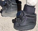 Boa Gaiter
