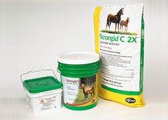 Pfizer Health Strongid C2X Daily Horse Dewormer