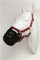 Best Friend Equine Grazing Muzzle