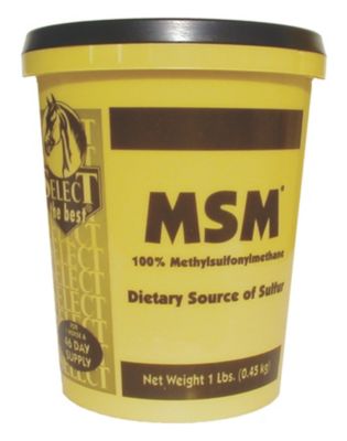 Select MSM Powder