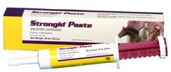Pfizer Health Strongid Paste Horse Dewormer