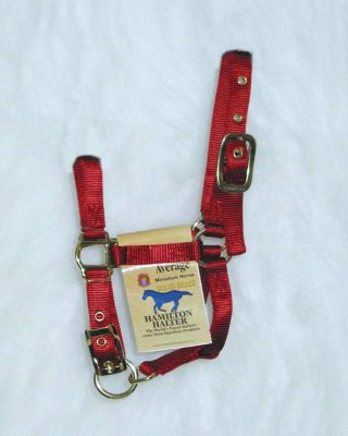 Hamilton Miniature Horse Halter Best Price