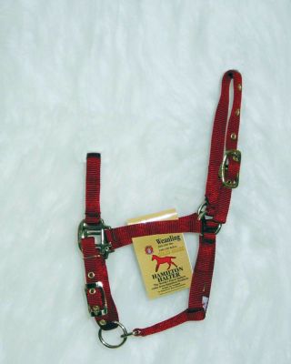 Hamilton Foal Halter with Adjustable Chin Best Price