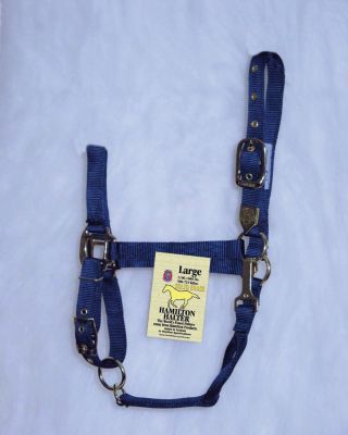 Hamilton Horse Halter with Adjustable Chin and Snap Throat Best Price