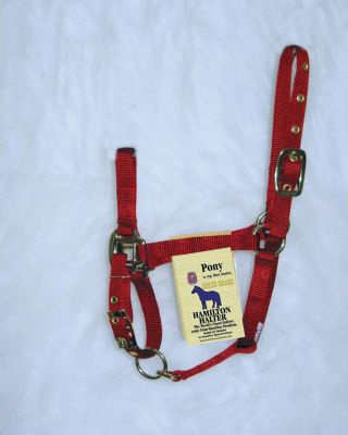 Hamilton Pony Halter with Adjustable Chin and Snap Best Price