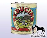 Equicare Reducine Original Absorbent