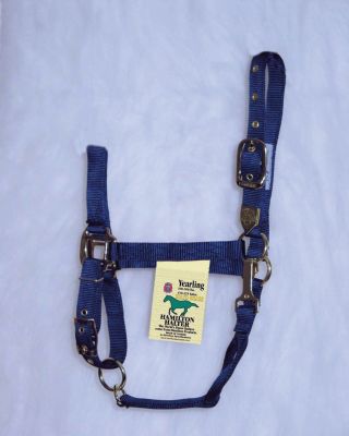 Hamilton Yealing Halter with Adjustable Chin and Snap Best Price