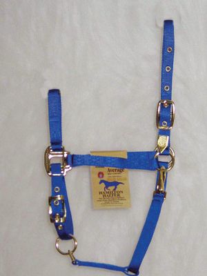 Hamilton Arab Halter with Adjustable Chin and Snap Best Price