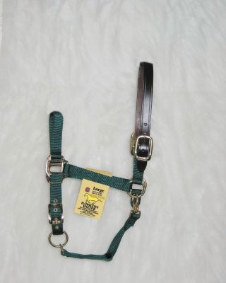 Hamilton Horse Halter with Leather Crown Best Price