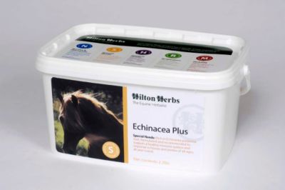 Hilton Herbs Echinacea Plus